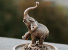 Проєкт "Шукай" створив міні-фігуру "Слона"