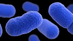 Ученые: бактерии из мяса могут быть причиной инфекций мочевыводящих путей