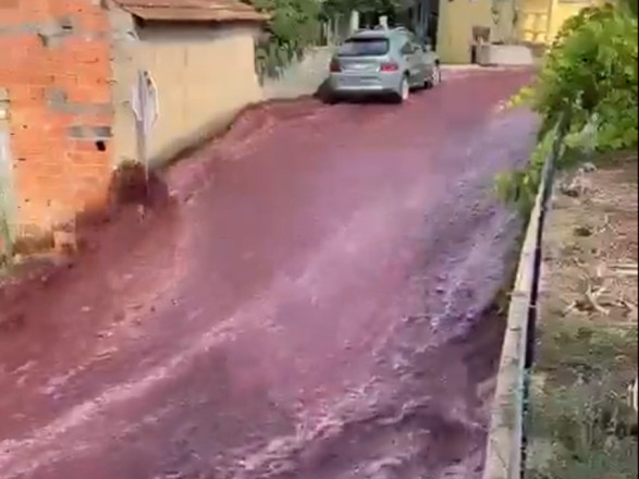 В Португалии "наводнение" из красного вина